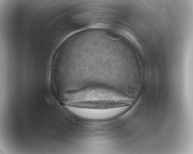 X0000088671228200706211845