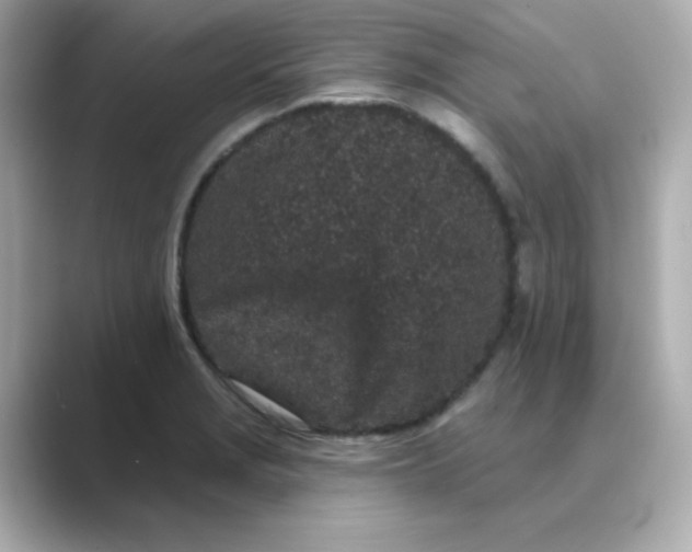 X0000088671229200706211845