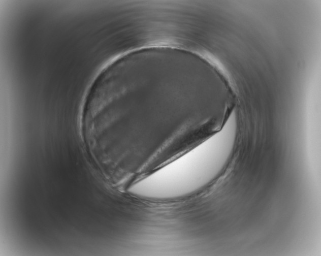 X0000088671230200706211845
