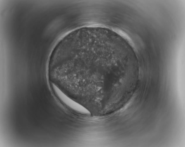 X0000088671231200706211845