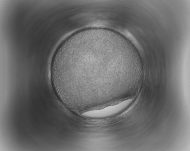 X0000088671232200706211845