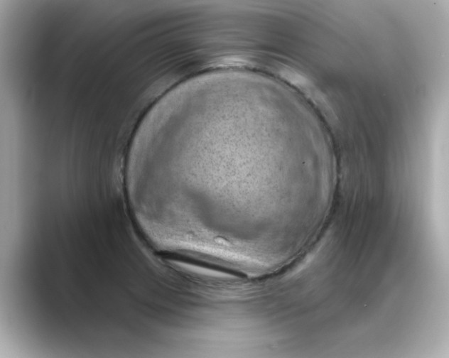 X0000088671233200706211845