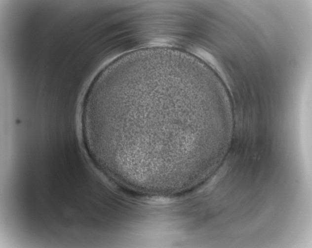 X0000088671235200706211845