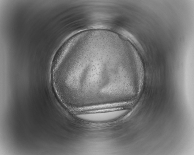 X0000088671236200706211845