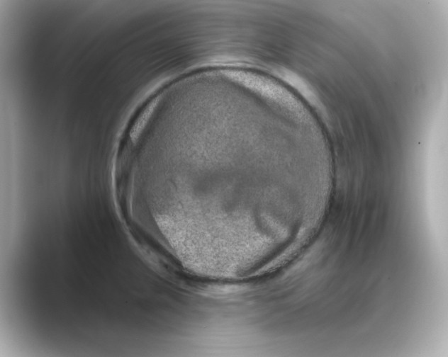 X0000088671237200706211845