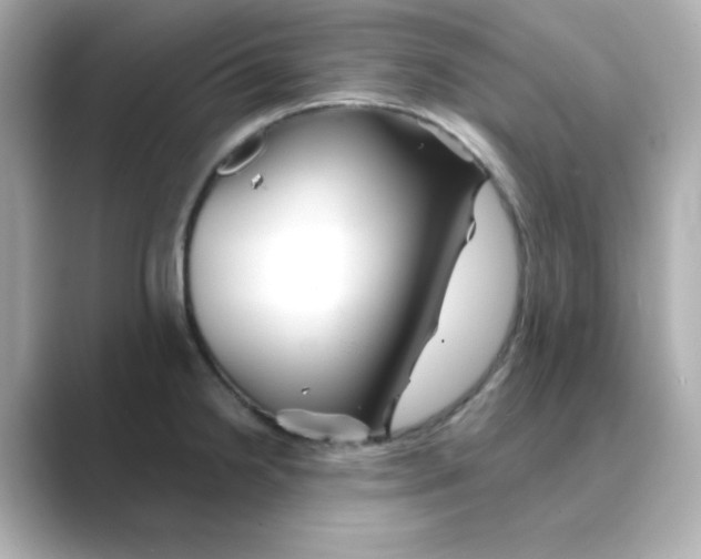 X0000088671238200706211845