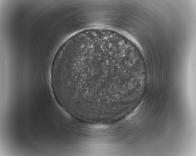 X0000088671239200706211845