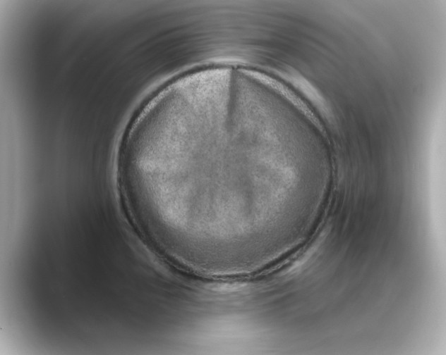 X0000088671240200706211845