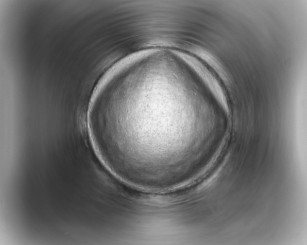 X0000088671241200706211845