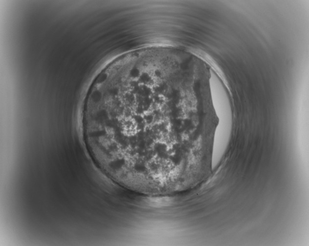 X0000088671243200706211845