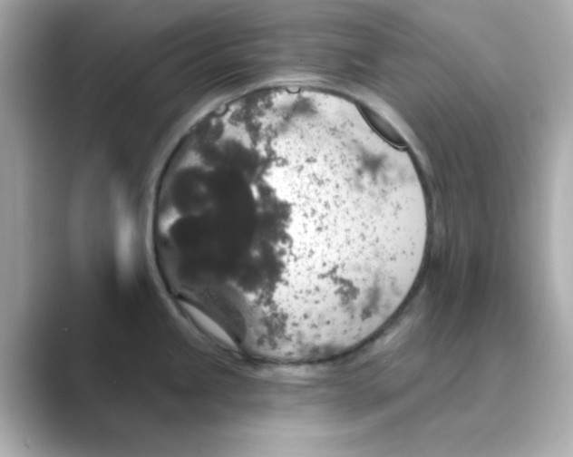X0000088671245200706211845