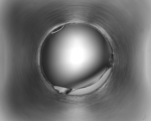 X0000088671246200706211845