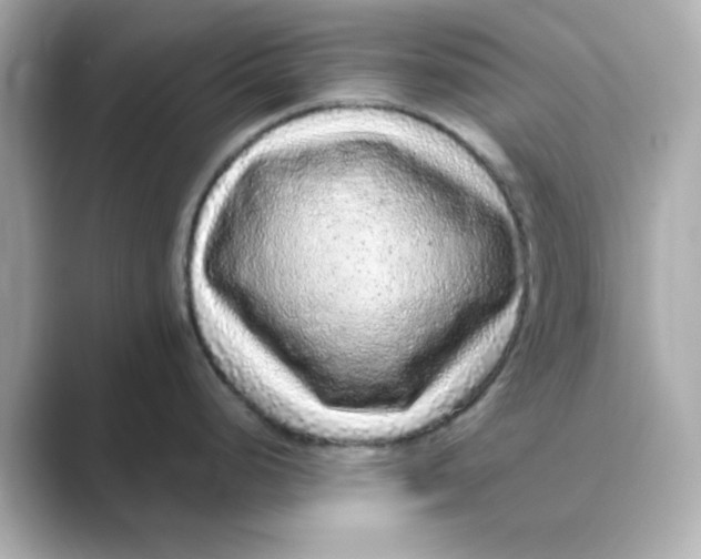 X0000088671248200706211845