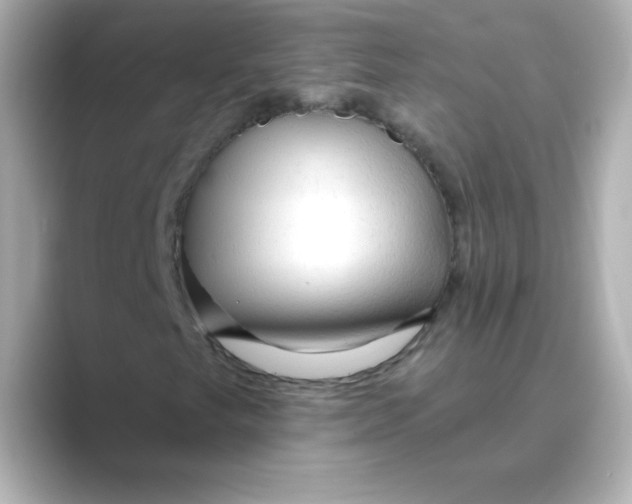 X0000088671249200706211845