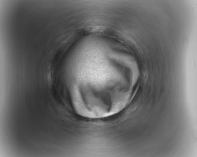 X0000088671250200706211845