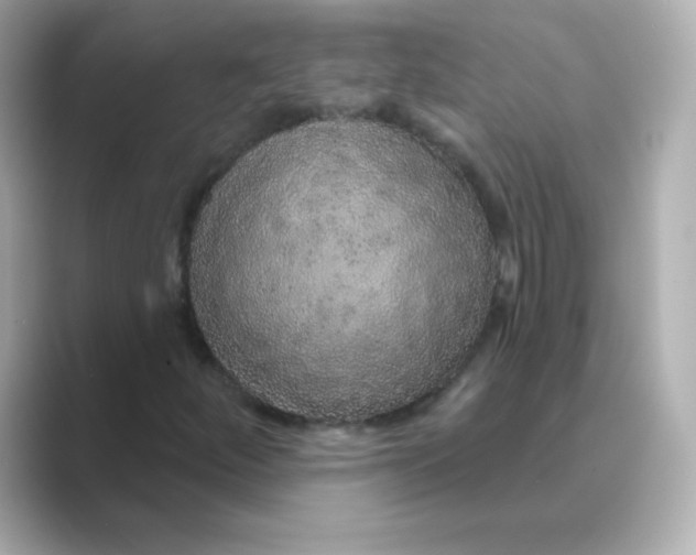 X0000088671252200706211845