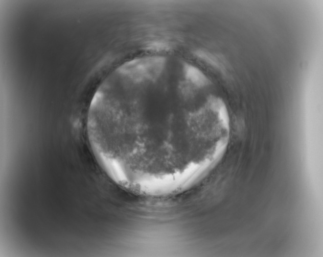 X0000088671254200706211844