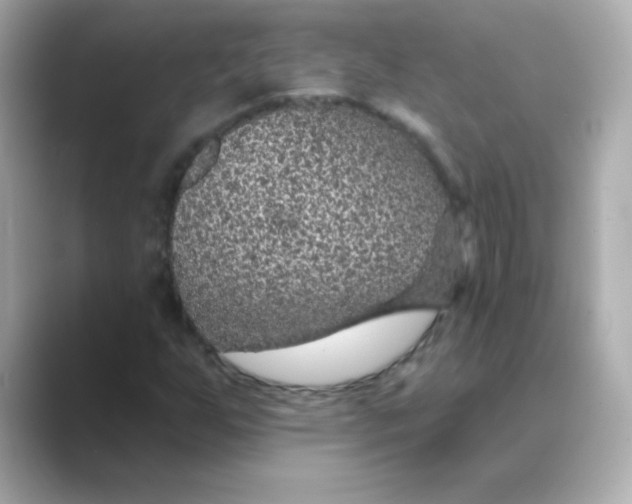 X0000088671255200706211844