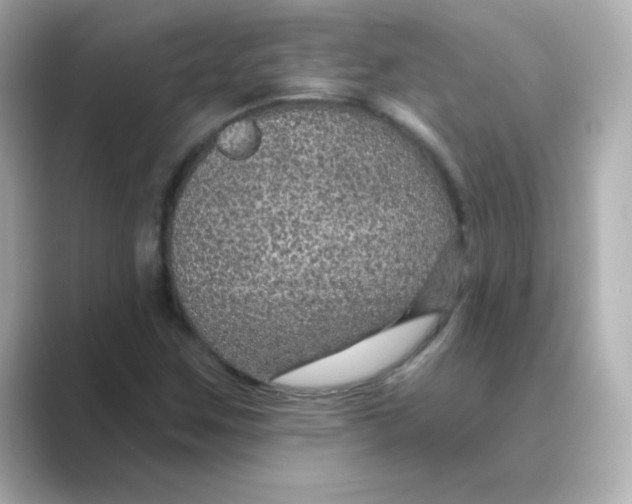 X0000088671259200706211844