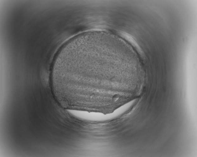 X0000088671260200706211844