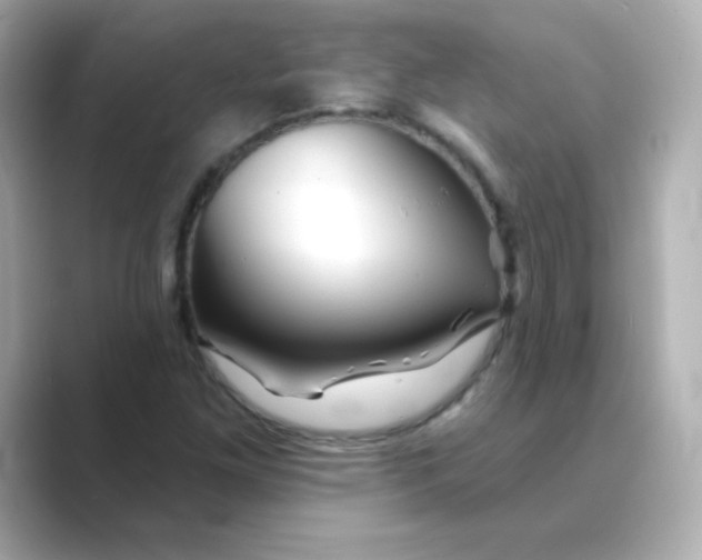 X0000088671261200706211844