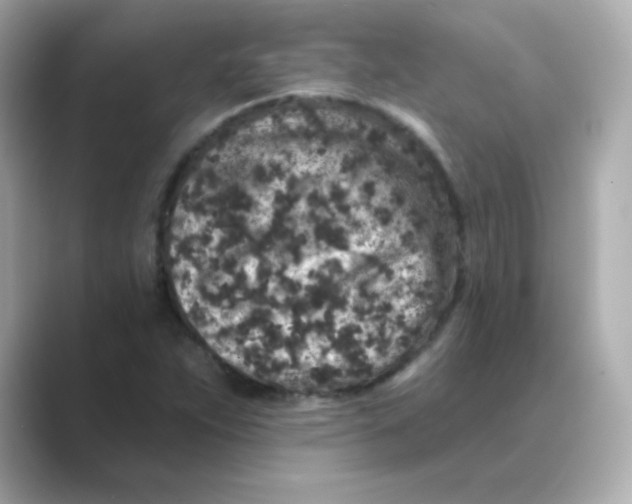 X0000088671263200706211844