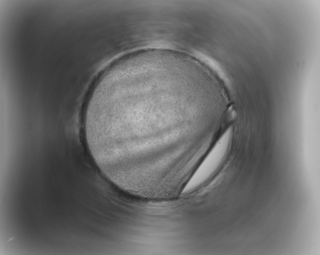 X0000088671264200706211844