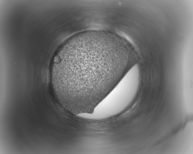 X0000088671267200706211844