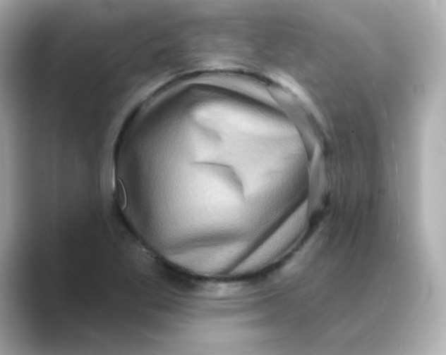 X0000088671269200706211844