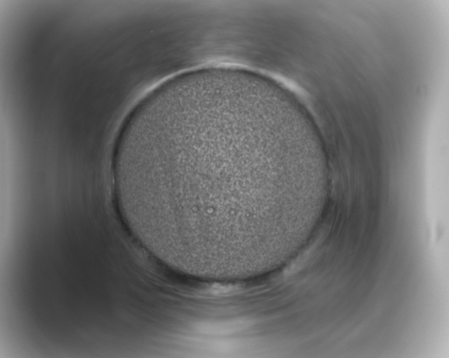 X0000088671271200706211844