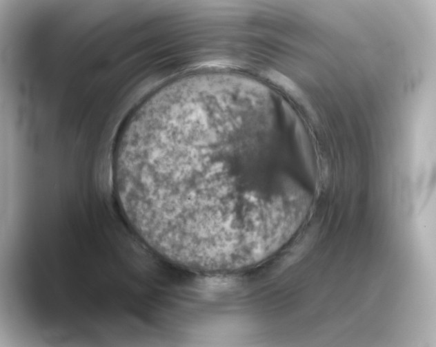 X0000088671274200706211844