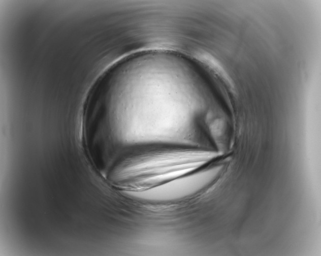 X0000088671276200706211844