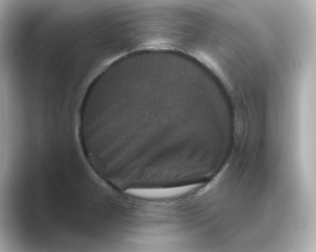 X0000088671277200706211844