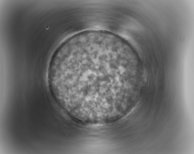X0000088671278200706211844