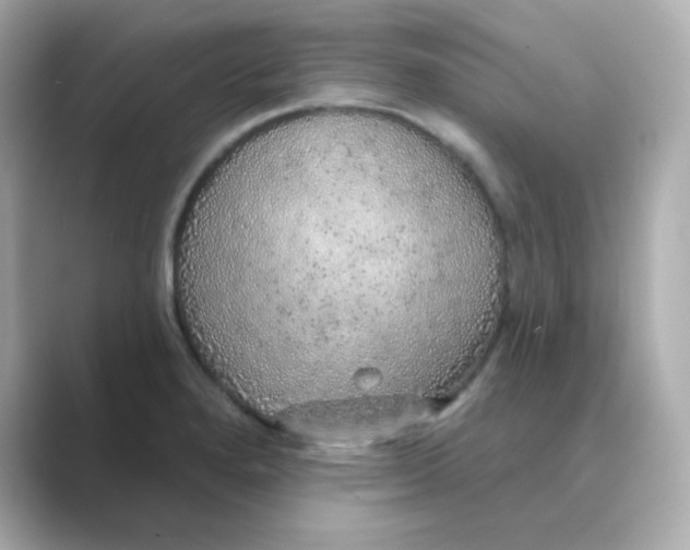 X0000088671280200706211844