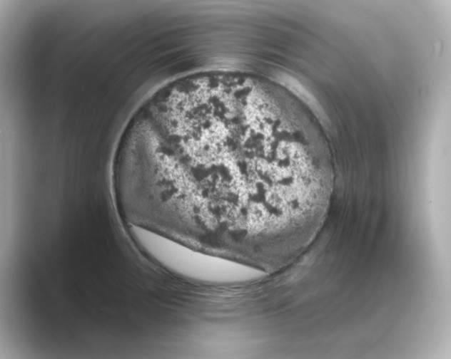 X0000088671283200706211844