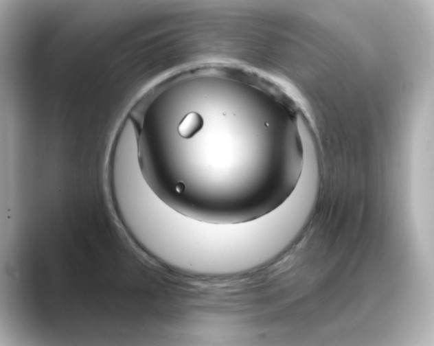 X0000088671287200706211844