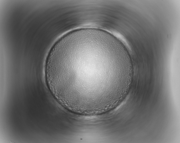 X0000088671288200706211844