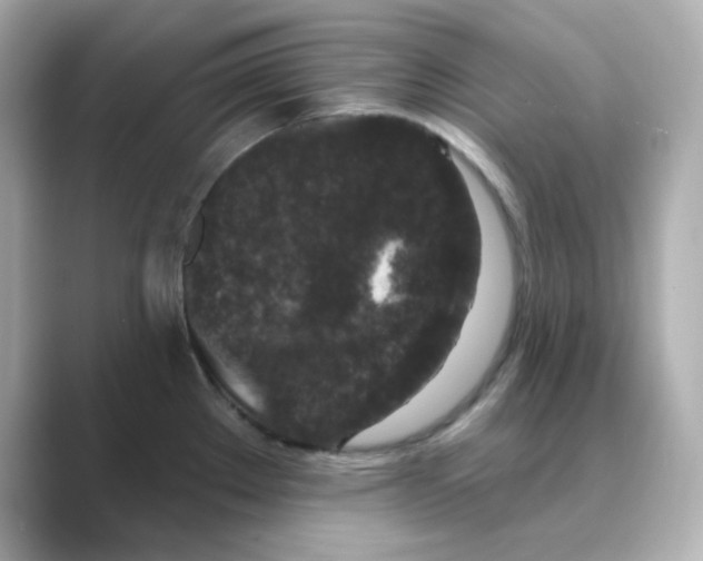 X0000088671289200706211844