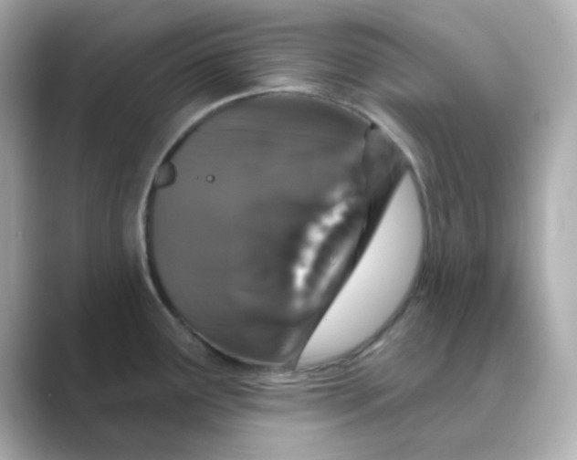 X0000088671291200706211844