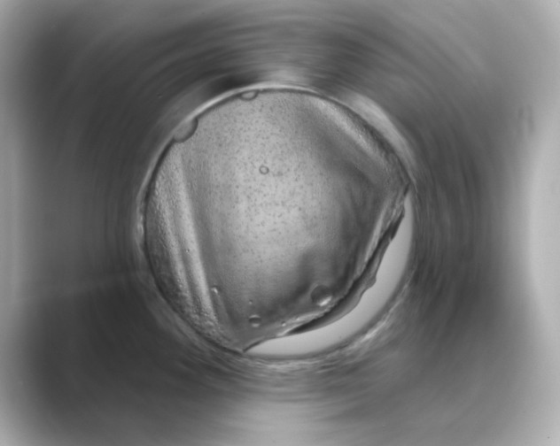 X0000088671292200706211844