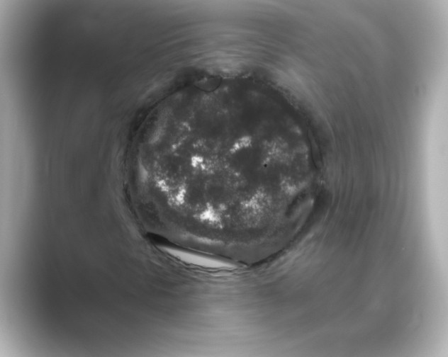 X0000088671297200706211843