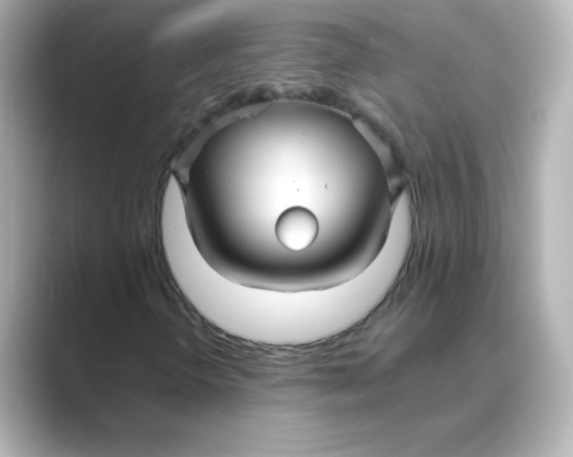 X0000088671298200706211843