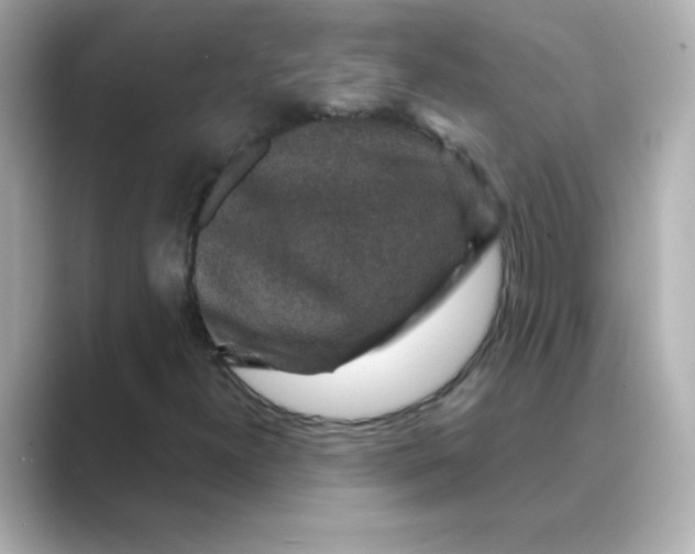 X0000088671300200706211843