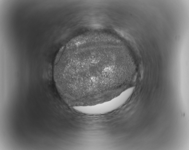 X0000088671301200706211843