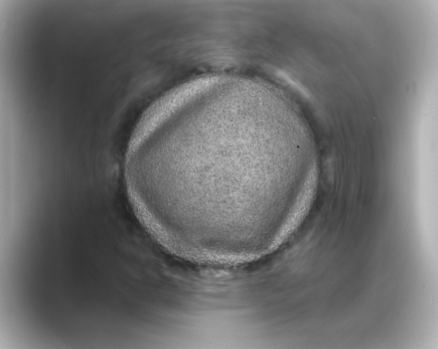 X0000088671302200706211844