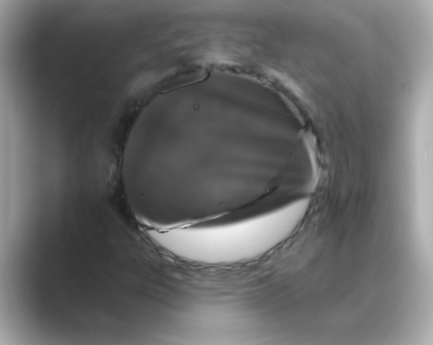 X0000088671303200706211844