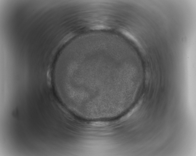 X0000088671305200706211844