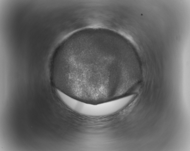 X0000088671311200706211844