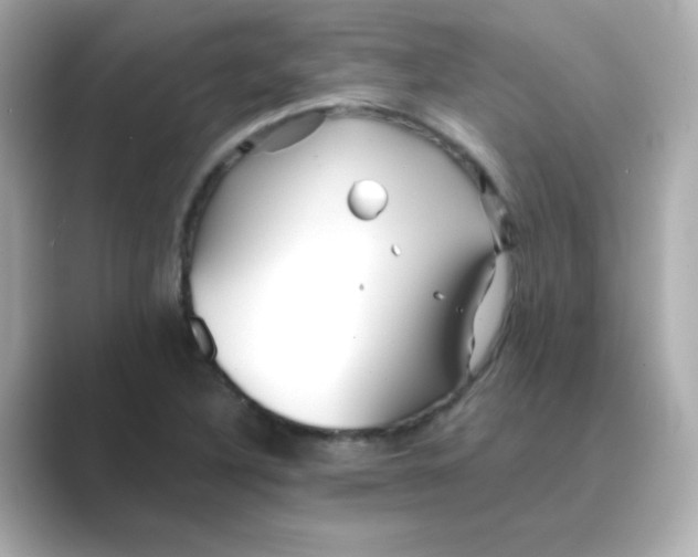 X0000088671316200706211844